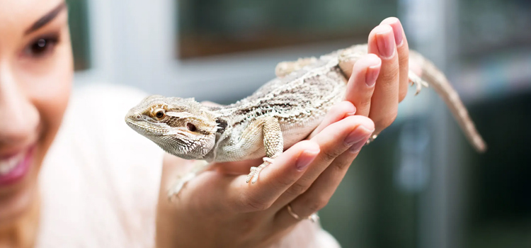 practiced vet care for reptiles in Oakmont