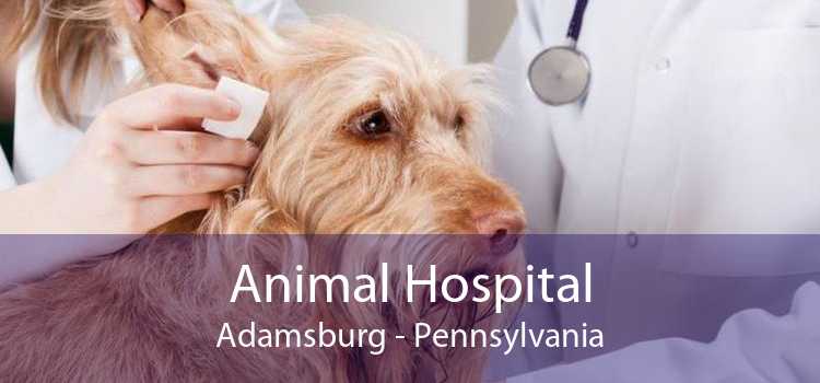 Animal Hospital Adamsburg - Pennsylvania