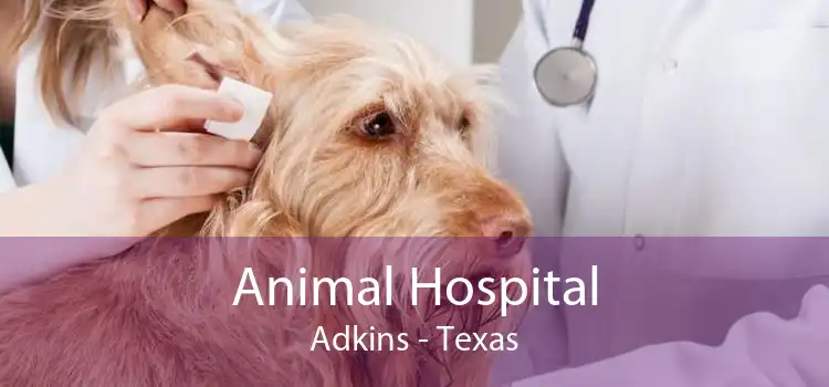 Animal Hospital Adkins - Texas