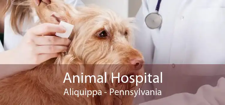 Animal Hospital Aliquippa - Pennsylvania