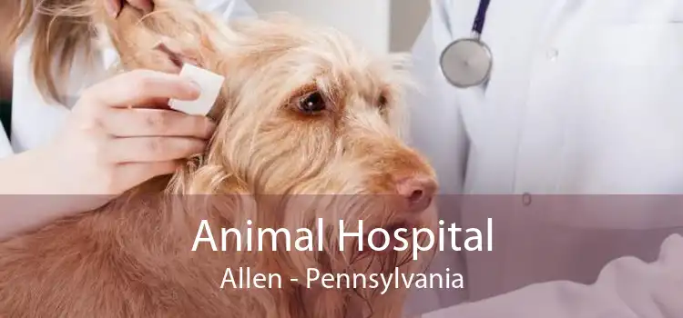Animal Hospital Allen - Pennsylvania
