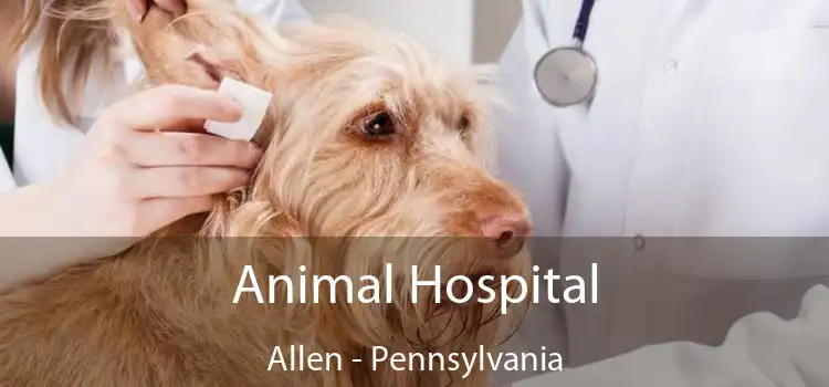 Animal Hospital Allen - Pennsylvania