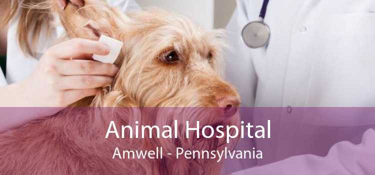 Animal Hospital Amwell - Pennsylvania