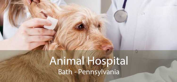 Animal Hospital Bath - Pennsylvania