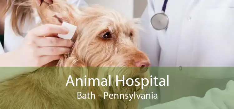 Animal Hospital Bath - Pennsylvania