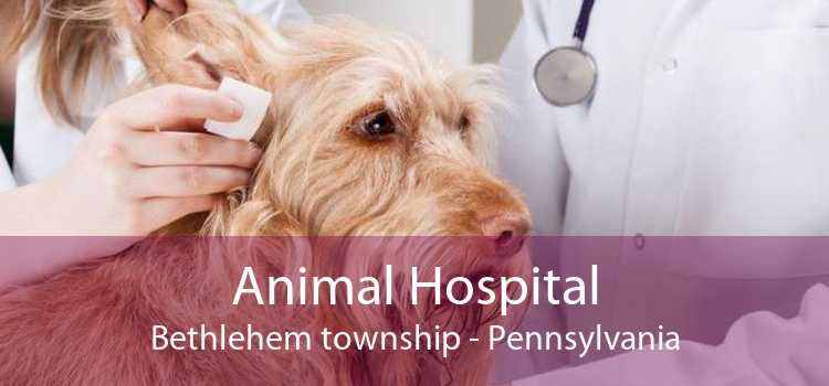 Animal Hospital Bethlehem township - Pennsylvania
