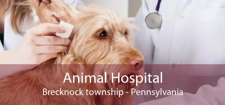 Animal Hospital Brecknock township - Pennsylvania