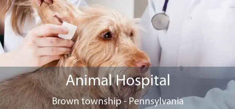 Animal Hospital Brown township - Pennsylvania