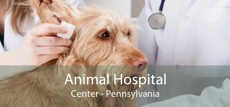 Animal Hospital Center - Pennsylvania