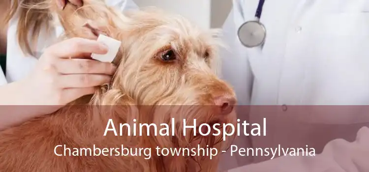 Animal Hospital Chambersburg township - Pennsylvania