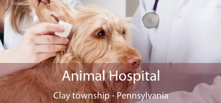 Animal Hospital Clay township - Pennsylvania