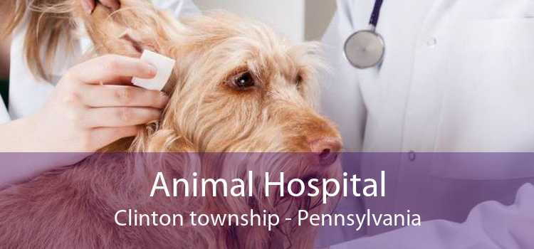 Animal Hospital Clinton township - Pennsylvania