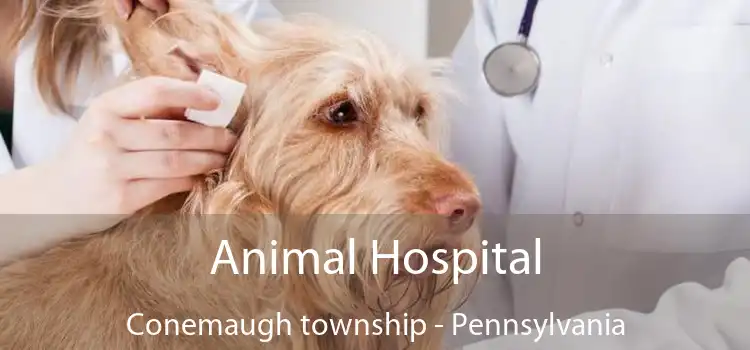 Animal Hospital Conemaugh township - Pennsylvania