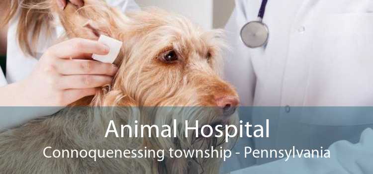 Animal Hospital Connoquenessing township - Pennsylvania