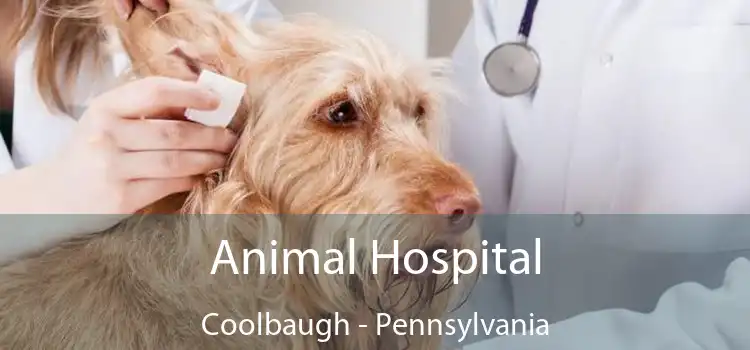 Animal Hospital Coolbaugh - Pennsylvania