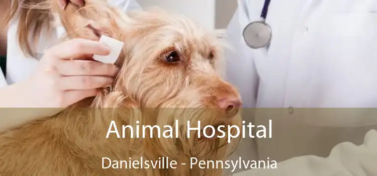 Animal Hospital Danielsville - Pennsylvania