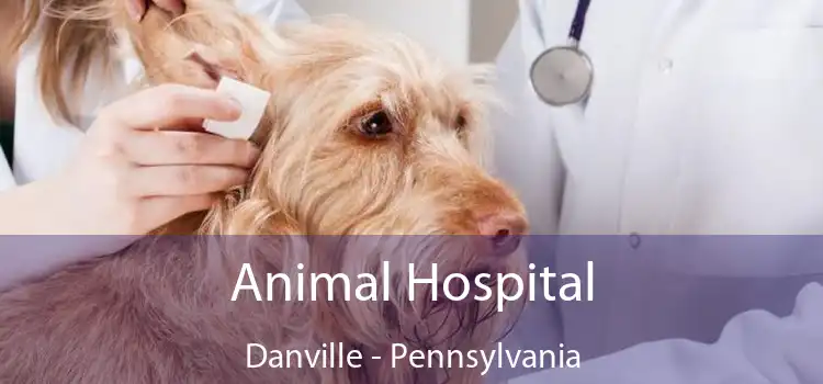 Animal Hospital Danville - Pennsylvania