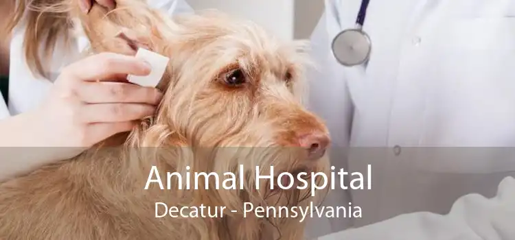 Animal Hospital Decatur - Pennsylvania