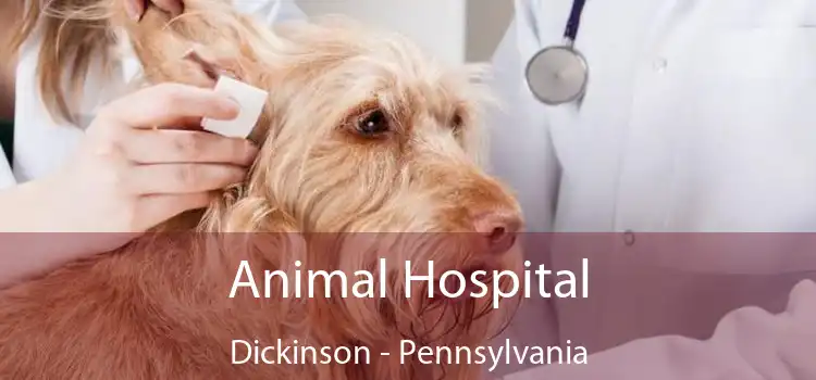 Animal Hospital Dickinson - Pennsylvania