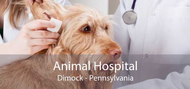 Animal Hospital Dimock - Pennsylvania