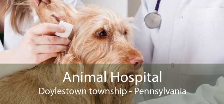 Animal Hospital Doylestown township - Pennsylvania