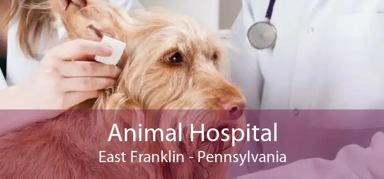 Animal Hospital East Franklin - Pennsylvania