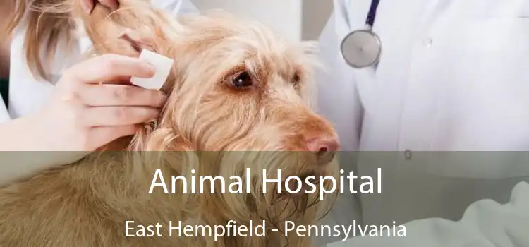 Animal Hospital East Hempfield - Pennsylvania