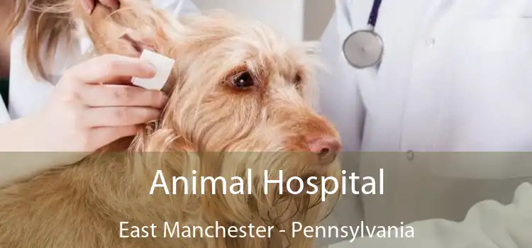 Animal Hospital East Manchester - Pennsylvania