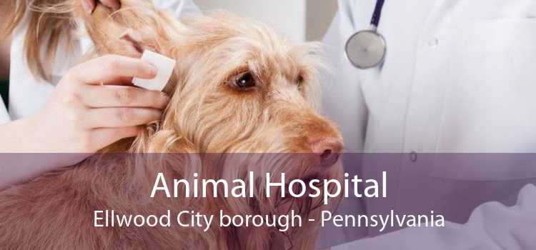 Animal Hospital Ellwood City borough - Pennsylvania