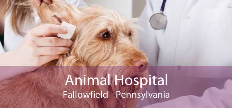 Animal Hospital Fallowfield - Pennsylvania