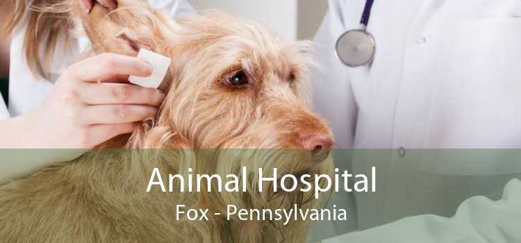 Animal Hospital Fox - Pennsylvania