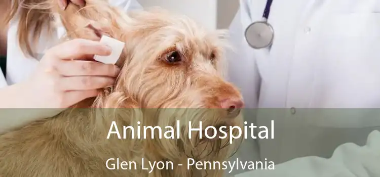 Animal Hospital Glen Lyon - Pennsylvania