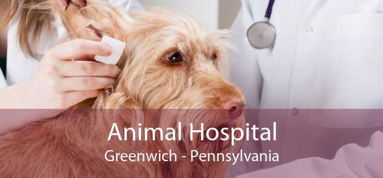 Animal Hospital Greenwich - Pennsylvania