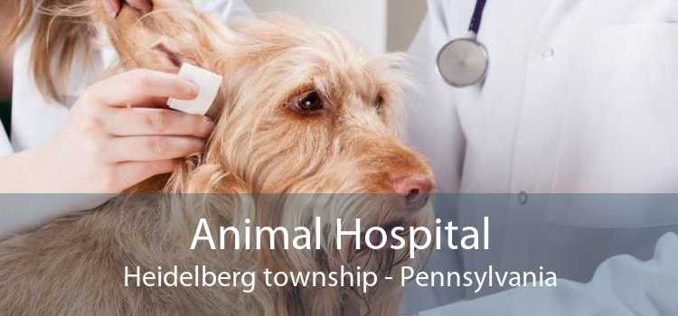 Animal Hospital Heidelberg township - Pennsylvania