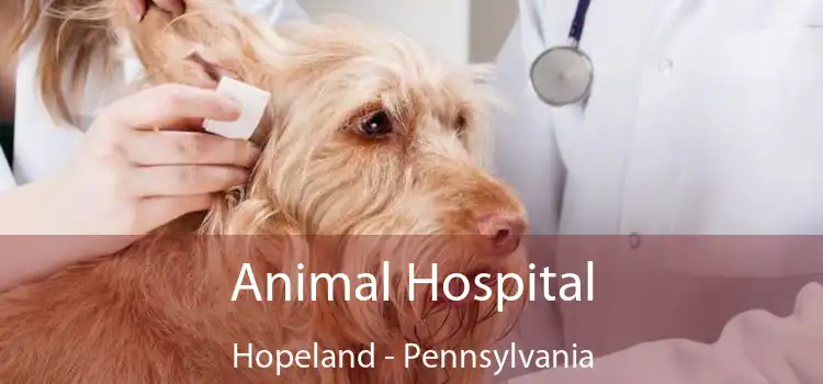 Animal Hospital Hopeland - Pennsylvania