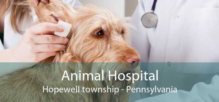 Animal Hospital Hopewell township - Pennsylvania