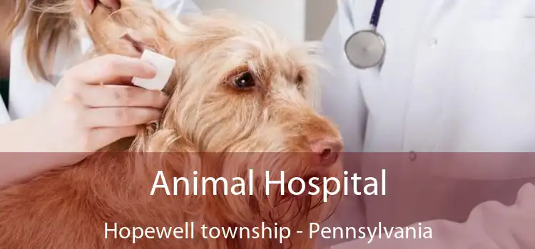 Animal Hospital Hopewell township - Pennsylvania