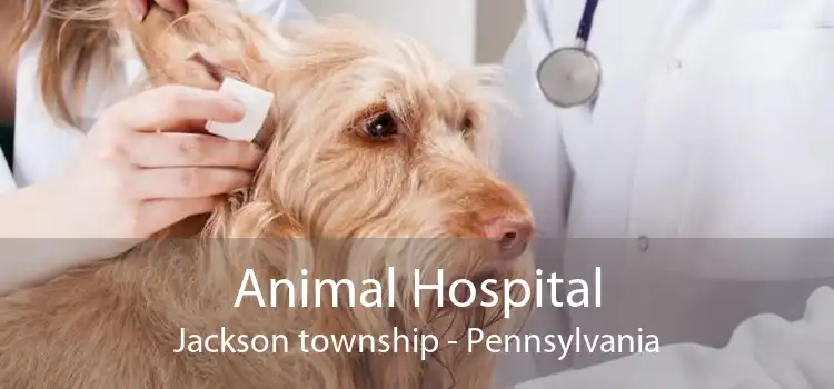 Animal Hospital Jackson township - Pennsylvania