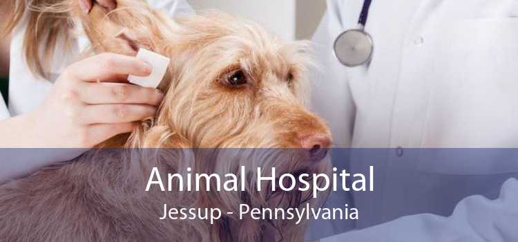 Animal Hospital Jessup - Pennsylvania