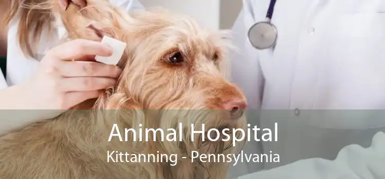 Animal Hospital Kittanning - Pennsylvania