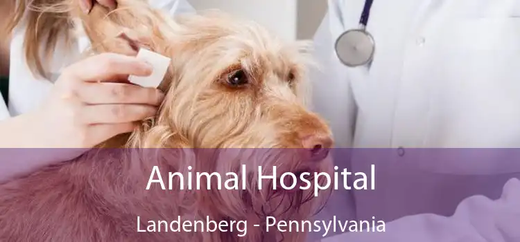Animal Hospital Landenberg - Pennsylvania
