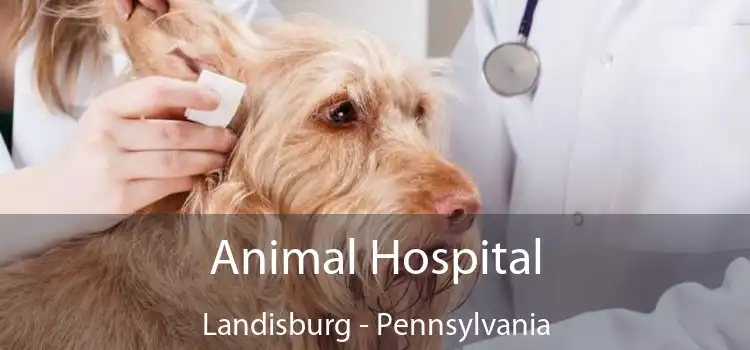 Animal Hospital Landisburg - Pennsylvania