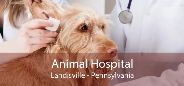 Animal Hospital Landisville - Pennsylvania