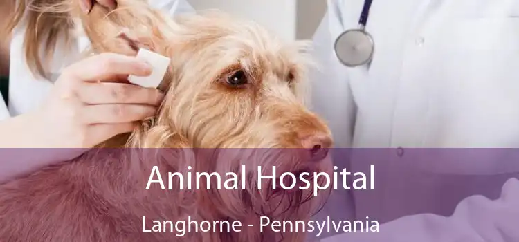Animal Hospital Langhorne - Pennsylvania