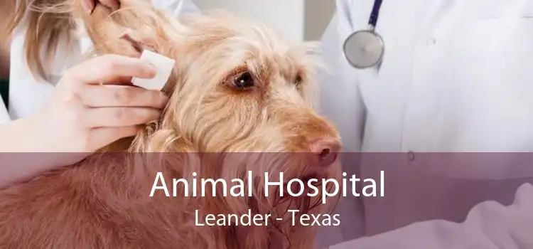 Animal Hospital Leander - Texas