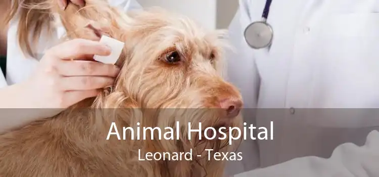 Animal Hospital Leonard - Texas