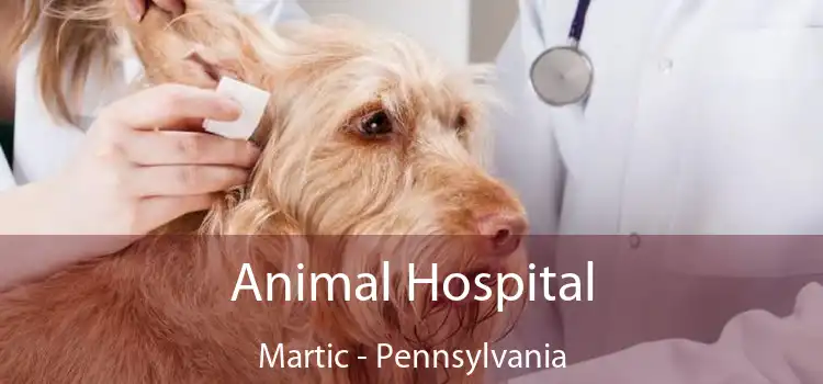 Animal Hospital Martic - Pennsylvania