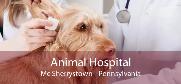 Animal Hospital Mc Sherrystown - Pennsylvania