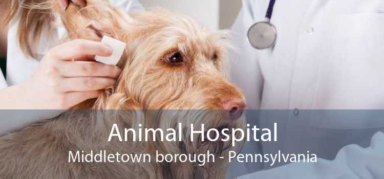 Animal Hospital Middletown borough - Pennsylvania