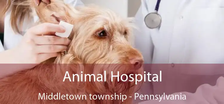 Animal Hospital Middletown township - Pennsylvania